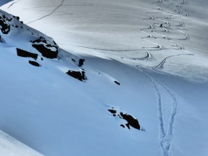 Blueberry mountain, Tamok, April 2014